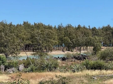 Terrain