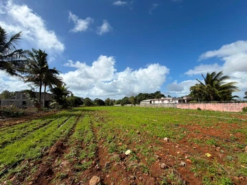 Residential Land