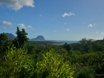 Residential Land