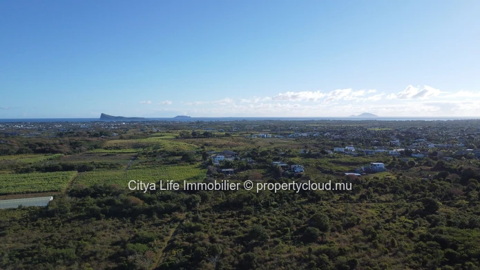 Vaste terrain agricole de 22 000 m² à vendre à Petit Raffray
