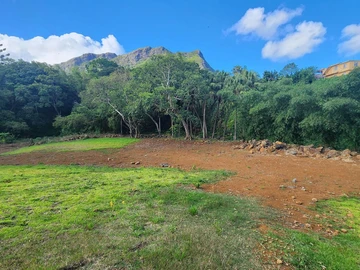 Land