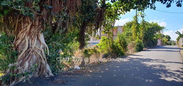 Freehold Residential & Commercial Land for Sale – Solferino No 5, Vacoas 