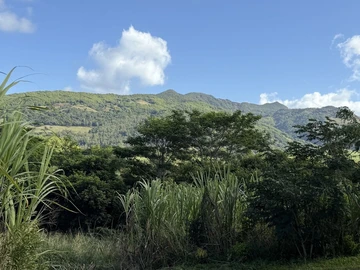 Agricultural Land
