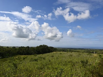 Terrain Agricole