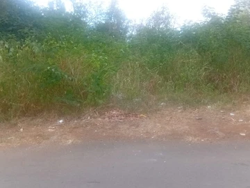Commercial Land