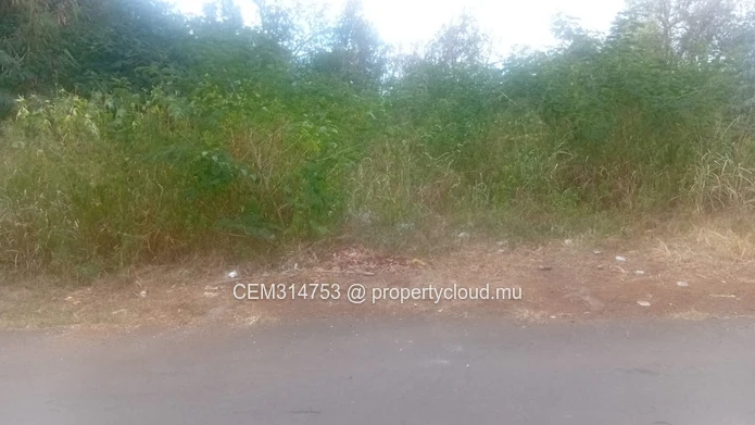 2 Plots for Sale – Royal Road, Coromandel 