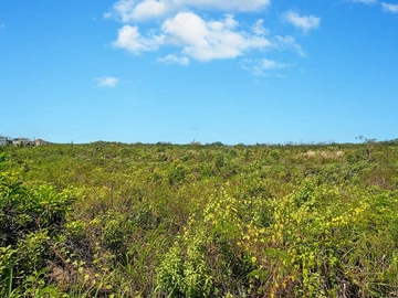 Terrain