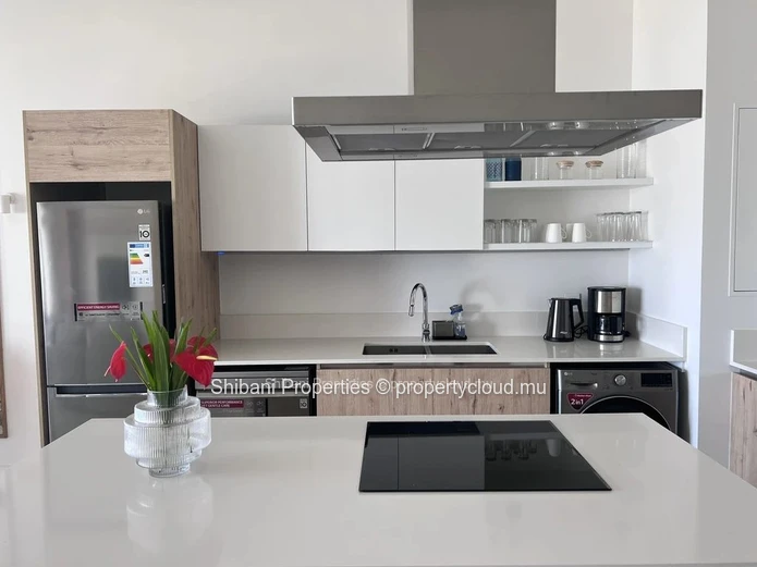 Modern Beachfront Apartment