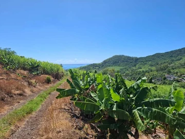 Terrain agricole de 50 228 m², vue mer et montagnes