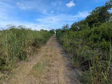 Residential Land