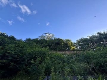 Agricultural Land