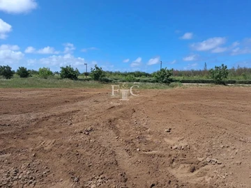 Land