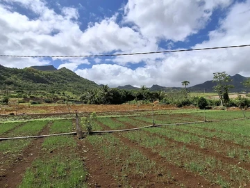 Residential Land