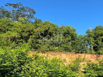 Terrain Agricole