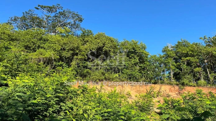 Enchanting Oasis Near Chamarel