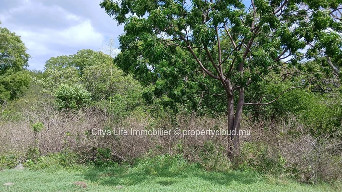 Prime Land for Sale in Domaine de Palmyre with Stunning Mountain Views