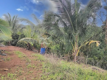 Land