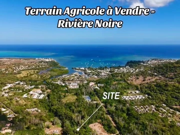 Terrain Agricole