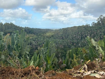 Terrain Agricole