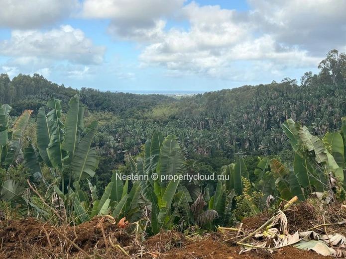 One-of-a-kind elevated agricultural plot with spectacular sea, river & mountain views of 4,405.49m² 