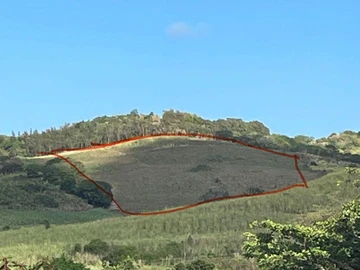 Terrain Agricole