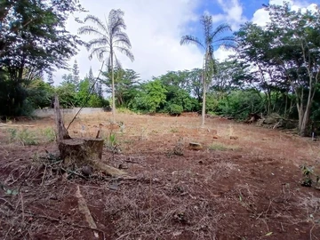 Terrain Résidentiel