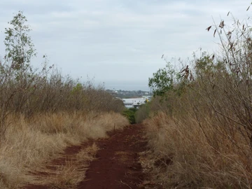 Residential Land