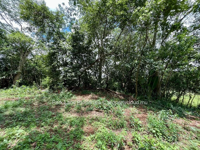 Agricultural land ideal for lodges