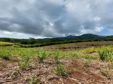 Agricultural Land