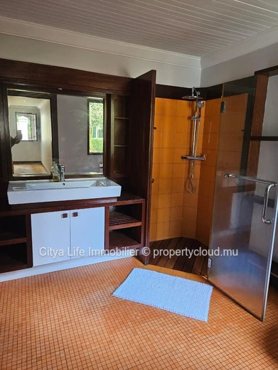 Maison d'architecte avec piscine à vendre à Mapou 380m²