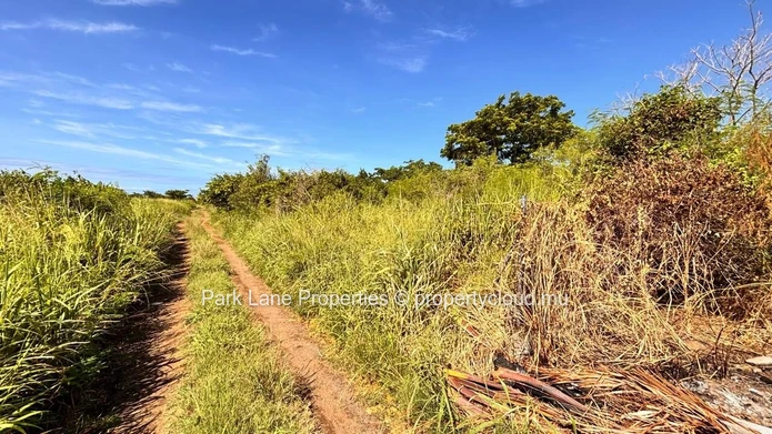 À vendre – Terrain résidentiel de 4 206 m² à Petit Raffray