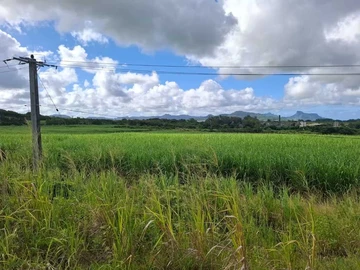 Agricultural Land
