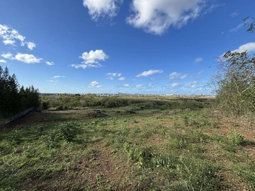 Agricultural Land