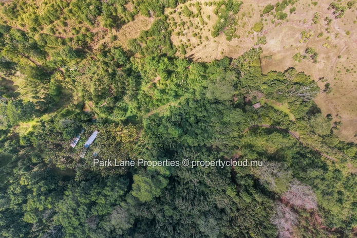 Beautiful Plot Surrounded by Nature next to River