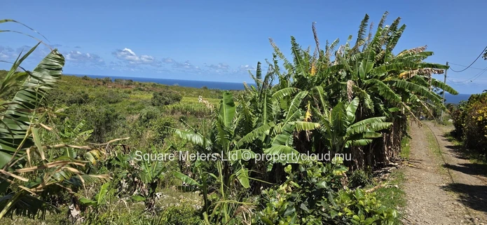 Une opportunité de terrain avec vue sur la mer au Chemin Grenier (Mandat exclusif)
