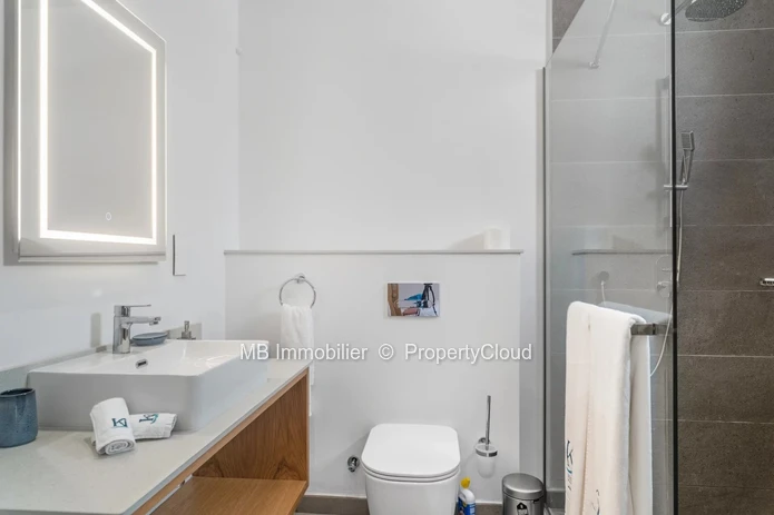 Penthouse en location
