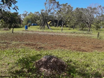 Agricultural Land
