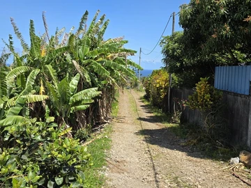 Agricultural Land