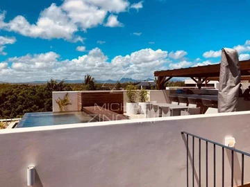 3 Bedroom Penthouse