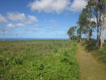 Residential Land