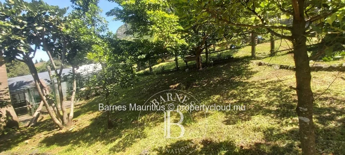 MOKA – Terrain agricole avec maison conteneur – 3 160 m²
