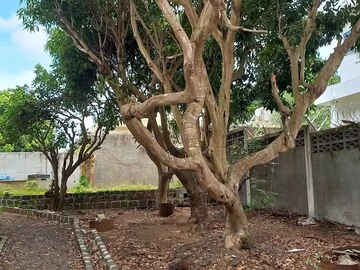 7 Bedroom House