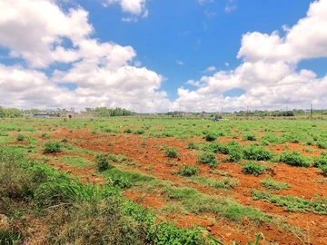 Commercial Land