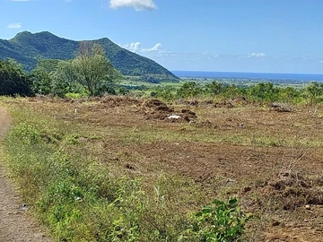 Agricultural Land