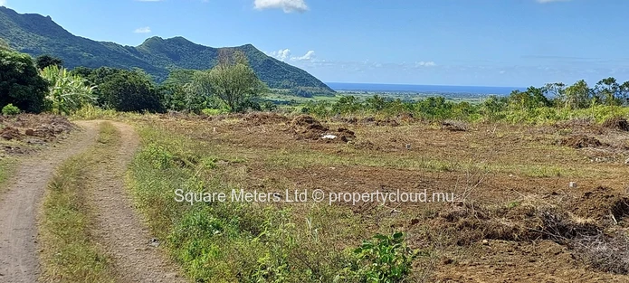 Agricultural Land For Sale – Clémencia (Sole Mandate)