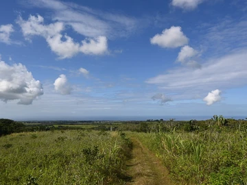 Terrain Agricole