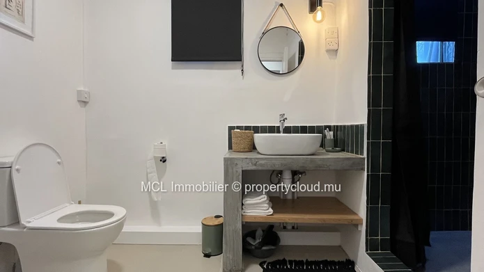 Ground floor apartment