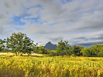Residential Land