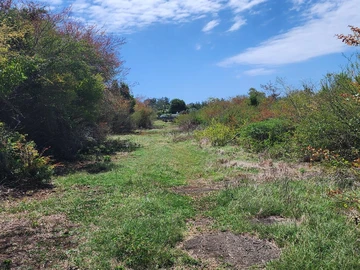 Residential Land