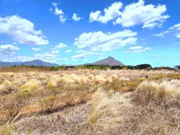 Land